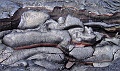 Kilauea Abstracts 014 Copyright Villayat Sunkmanitu